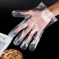 food gloves